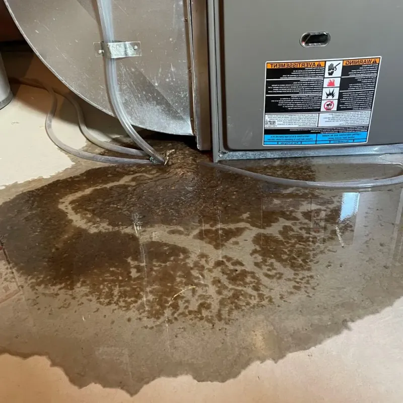 Pipe Burst and Leak Restoration in White Sulphur Springs, MT